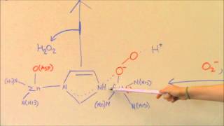 Superoxide Dismutase [upl. by Kinchen]