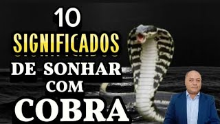 10 SIGNIFICADOS DE SONHAR COM COBRA APRENDA ESSES SIGNIFICADOS PARA FICAR ALERTA E TOMAR CUIDADO [upl. by Nyrehtac]