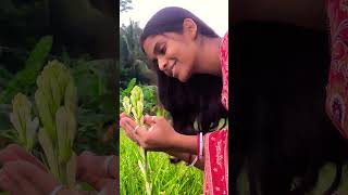 আজকে নতুন একটা ভিডিও করে ফেললাম ❤️❤️🔥🔥short trending lovely gramerbouchapavlog [upl. by Falkner]