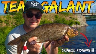 COARSE FISHING IN THE MIDDLE OF SWEDEN  Team Galant [upl. by Nwahsad]