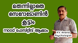 🔥സെറോടോണിൻ എങ്ങനെ കൂട്ടാം  How to Increase Serotonin Serotonin Foods [upl. by Einnil]