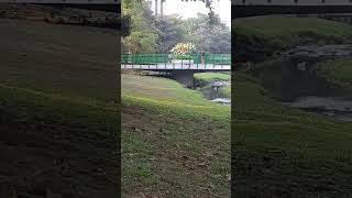 Jembatan Hijau Lembah UGM Yogyakartashortvideo [upl. by Erasmo]