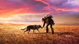 Alpha 2018 Full Movie Explained In Hindi  Alpha Man and Wolf Survival Story [upl. by Euqcaj404]