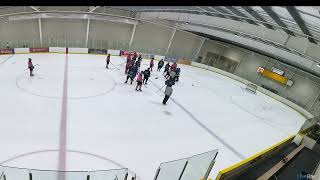 Beer League Hockey Fight in the Handshake Line [upl. by Coreen]