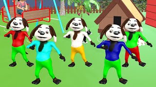 BINGO DOG COLOR SONG  Nursery Rhymes amp Kids Song [upl. by Starlene]