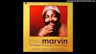 marvin gaye sexualing healing  version surprise [upl. by Nelloc]