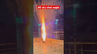 60 sky shot testing trending viralvideo video diwalifireworks diwali crackers viralshorts [upl. by Nylzzaj]