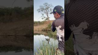 🎣pescando traíra🐟vídeo completo no canal pescaria fishing peixe [upl. by Hyacintha]