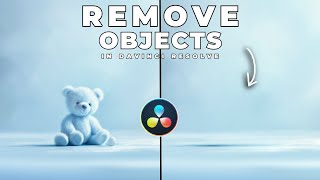 How To REMOVE OBJECTS From VIDEO In Davinci Resolve [upl. by Marie-Ann]