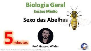 Biologia  Sexo das Abelhas [upl. by Saba673]