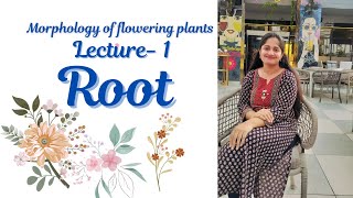 Root  class 11th NCERT Morphology of flowering plants [upl. by Charron]