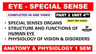 Structure And Functions Of Eye  Human Eye  Special Senses  Part 2 Unit 4  Hap 1st semester [upl. by Sateia603]