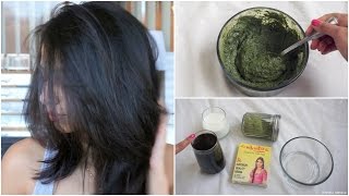 How to Apply Henna to hair at Home [upl. by Luca]