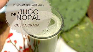 Cómo usar el jugo de nopal para quemar grasa [upl. by Eedoj334]