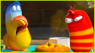 LARVA NEW MOVIES 2025 rotten cake  FUNNY VIDEO  Mini Series from Animation LARVA [upl. by Alitta37]