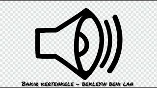 KOMİK SES EFEKTİ  BEKLEYİN BENİ LAN  BAKIR KERTENKELE [upl. by Ally679]