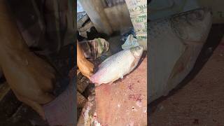 Amazing Big Mrigal Fish Cutting Skills Live In BD Fish13Market [upl. by Hsirk]