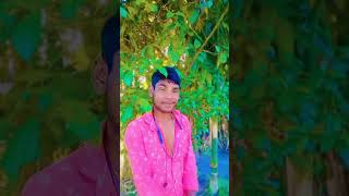 Sohrai Song 🤪 New SANTALI Sohrai 2024  2025 [upl. by Encratis870]