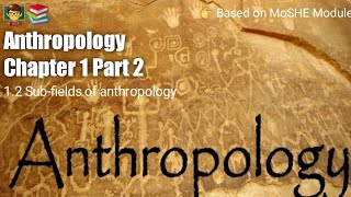 Anthropology Chapter 1  Part 2   Subfields of anthropology [upl. by Bethanne281]