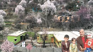 HUNZA VALLEY TRADITIONAL HOME TOUR [upl. by Dilaw149]