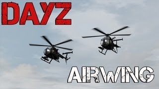 DayZ  Airwing [upl. by Esiouqrut]