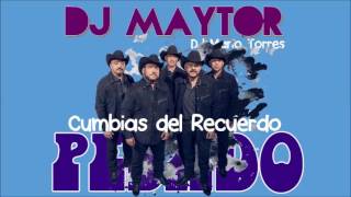 PESADO CUMBIAS DEL RECUERDO MIX DJ Maytor [upl. by Atipul]