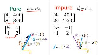 Tensors for Beginners 11 Linear maps are VectorCovector Pairs [upl. by Zurek706]