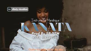 KANATA quot l ✘ Sokhou bb ✘ Mariam Bah ✘ Yacou B  Type Beat  Afro Mandingue 2024 [upl. by Nylesaj]