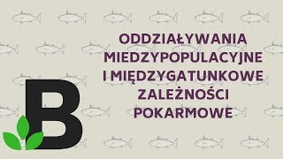 Oddziaływania międzygatunkowe Zależności pokarmowe  ekologia  KOREPETYCJE z BIOLOGII  137 [upl. by Timothy378]