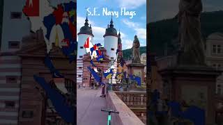 SE Navy Flags [upl. by Odnala]