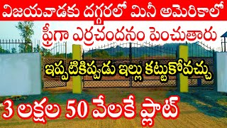 SqYd Only ₹3500 Near Vijayawada 7396854642 Low cost plots with Redsandal Plantation near Mylavaram [upl. by Venezia]