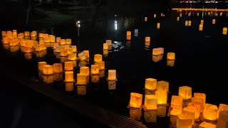 Lễ Hội Lồng Đèn Water Lantern Festival At Almaden lake in San Jose 110824111024 [upl. by Ibbed]