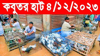 কবুতর হাট ৪১২২০২৩  kobutor hat 2023  pigeon market in bangladesh  saroliya kobutor hat [upl. by Egdamlat]