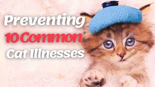 😿10 Common Cat Diseases and How to Prevent Them [upl. by Nalor]