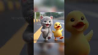 The friendship Between a Cat and a Duck cat catlover kucing [upl. by Selden]