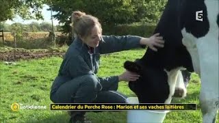 Calendrier du Perche Rose  Marion et ses vaches laitières [upl. by Niamor596]