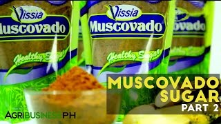 How to extract sugar cane  Muscovado sugar Part 2 Agriculture [upl. by Greenes360]