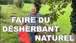 FABRIQUER son DESHERBANT  feuilles de noyer 🌱 100 ÉCOLOGIQUE [upl. by Dijam]