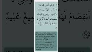 Quran  Surah AlBaqarah 02 Verse 256 Mahmoud Khalil AlHussary quran husary shorts recitation [upl. by Ishii]