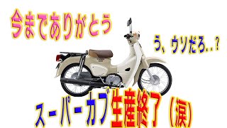 【完全終了】スーパーカブ生産終了急いで買うべき？ [upl. by Leake]