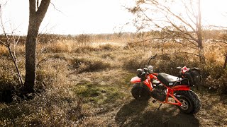 Coleman B200R Minibike First Impressions amp Ride [upl. by Otilopih]