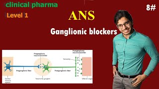 Ganglionic Blockers  ANS  الحلقة8من المستوي1 في كورس كلنيكال فارما [upl. by Yhtorod]