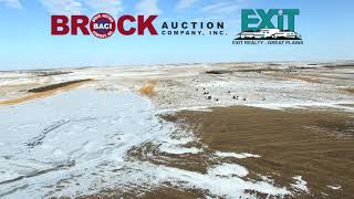 SOUTH DAKOA LAND AUCTION  964 ML ACRE PHEASANT RETREAT [upl. by Ahterod353]