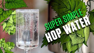 Super Simple Hop Water Recipe  How to Make Hop Water [upl. by Jacquenette]