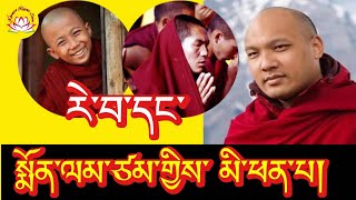 HH Karmapa’s speech about expectation amp prayer rumtekkarmaekhenpo karmapa rinpoche tibettv voa [upl. by Alwyn]