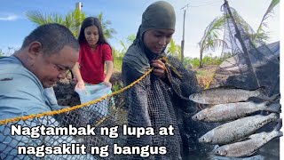 Nagtambak ng lupa sa Pilapil ng fishpond  Nagsaklit ng isdang bangus vlog843 [upl. by Elton706]