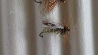 Caddis III Simple Entomology for the Fly Tyer and Fly Fisherman Part 9 [upl. by Novia818]