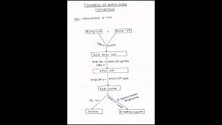 Formation and utilization of ketone bodies ketogenesis ketolysis biochemistry bpharmacy mbbs [upl. by Luhey14]