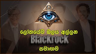 Blackrock සමාගම ඔබව පාලනය කරන හැටි  Blackrock Company  Danuwath [upl. by Cheryl]