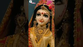 Ho misri se meethe bol hamari Radha Rani ke ❤️👍🚩 trending foryou explore love [upl. by Lebam428]